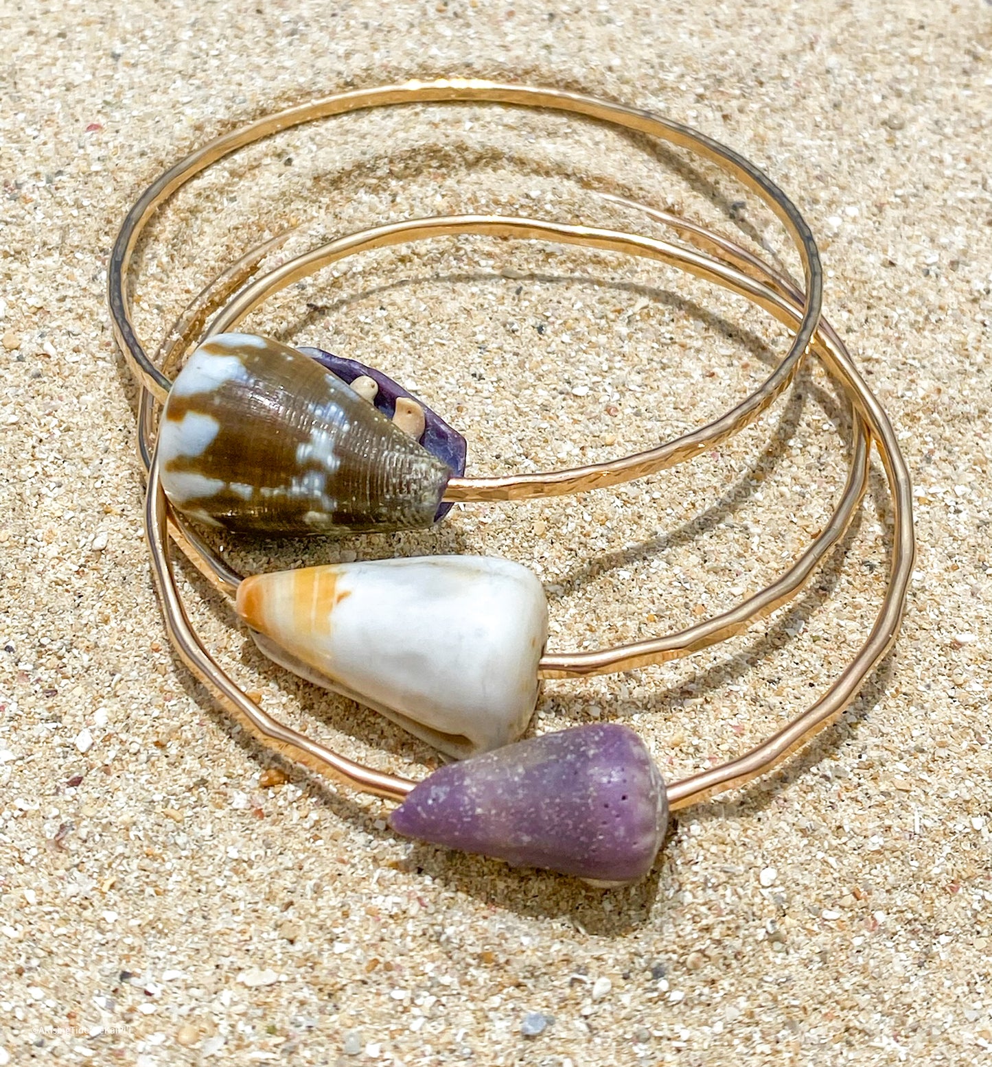 Pipeline Shell Bangle